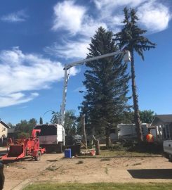 BUCK TREE SERVICES  403-597-5047  Red Deer County AB