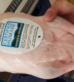 HUTTERITE LONE PINE FARM FRESH CHICKEN  403-742-3454 or 403-742-3454 Botha AB