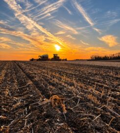 ARM RIVER AGRO 306-581-9217 Lumsden SK
