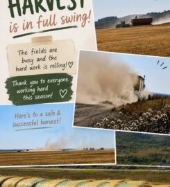 ARM RIVER AGRO 306-581-9217 Lumsden SK