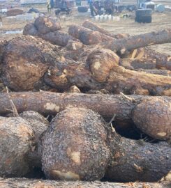 McCOLM WOOD PRODUCTS LTD 403-588-3320 Bluffton AB