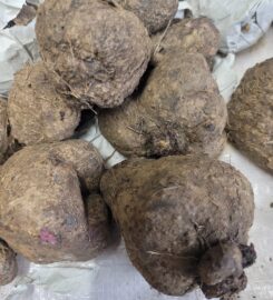 CHI-BUKING INTERNATIONAL MARKET 403-986-5111 Red Deer AB