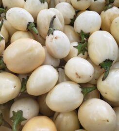 CHI-BUKING INTERNATIONAL MARKET 403-986-5111 Red Deer AB