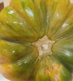 CHI-BUKING INTERNATIONAL MARKET 403-986-5111 Red Deer AB