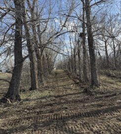 AWT WELDING LTD & EARTHWORKS 403-740-6043 Stettler AB