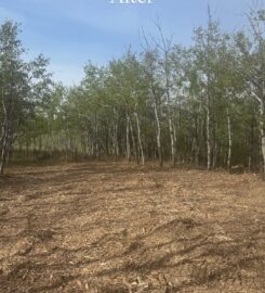 AWT WELDING LTD & EARTHWORKS 403-740-6043 Stettler AB