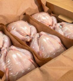 HUTTERITE FARM EXCHANGE 587-848-3228 Calgary & Throughout Alberta