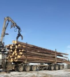 BLACK CAT SALES & SERVICE 709 770 9203 Ponoka AB