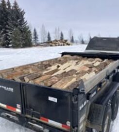 BLACK CAT SALES & SERVICE 709 770 9203 Ponoka AB