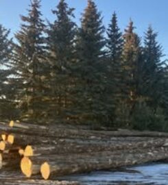 BLACK CAT SALES & SERVICE 709 770 9203 Ponoka AB