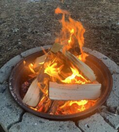 BLACK CAT SALES & SERVICE 709 770 9203 Ponoka AB