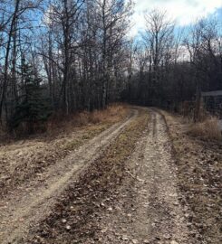 BOESE CONTRACTING LTD 587-432-1586 Linden AB