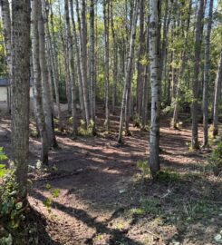 7S CONTRACTING 587-377-3478 Rimbey AB