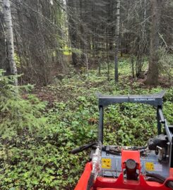 7S CONTRACTING 587-377-3478 Rimbey AB