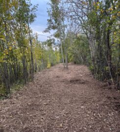 7S CONTRACTING 587-377-3478 Rimbey AB