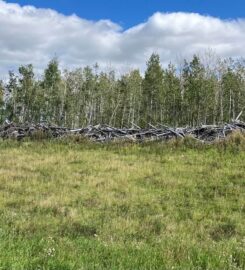 BACKCOUNTRY LAND SERVICES LTD 403-963-8235 Ponoka AB