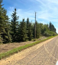 BACKCOUNTRY LAND SERVICES LTD 403-963-8235 Ponoka AB