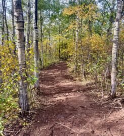 BACKCOUNTRY LAND SERVICES LTD 403-963-8235 Ponoka AB