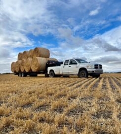 BACKCOUNTRY LAND SERVICES LTD 403-963-8235 Ponoka AB